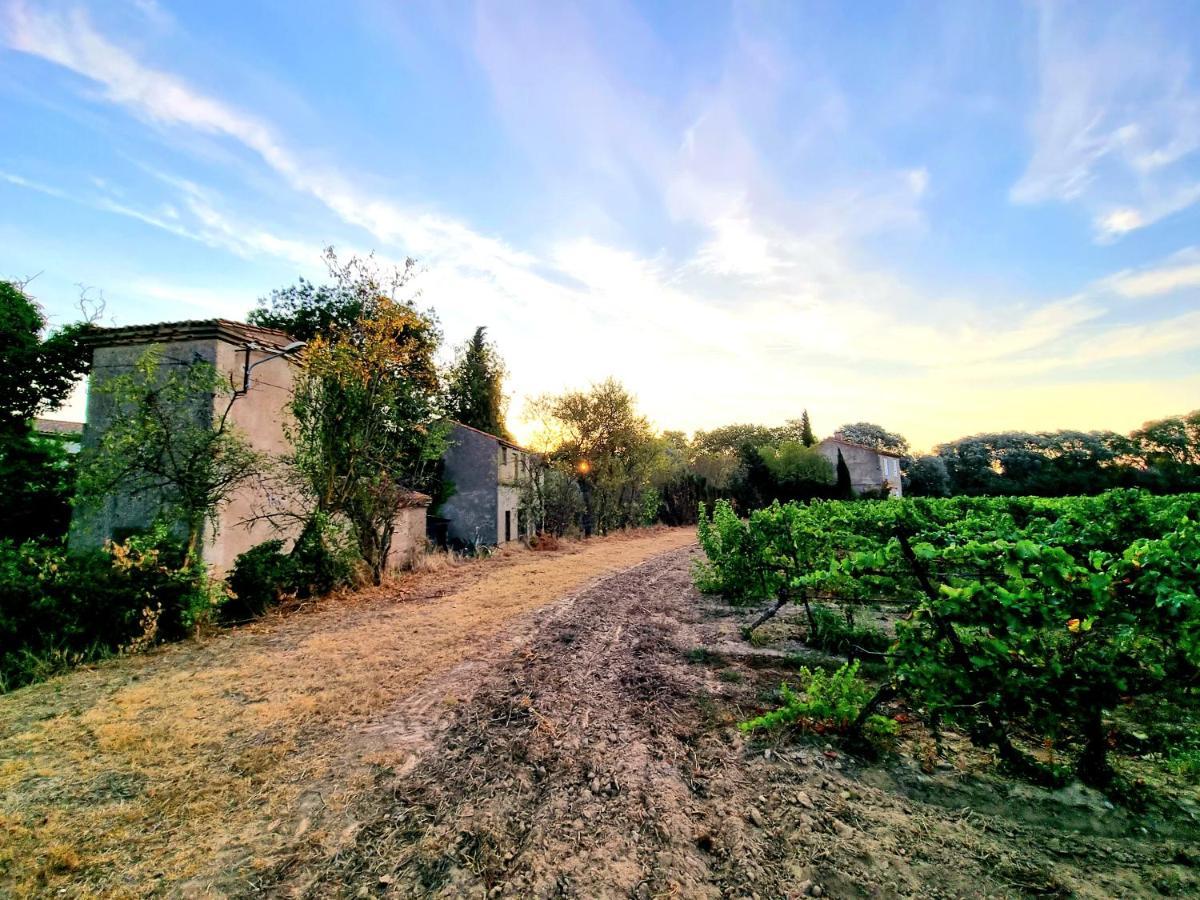 Chambre D'Hotes Les Berges De L'Aude - B&B - Proche Canal Du Midi Et Cite De Carcassonne Puicheric Esterno foto